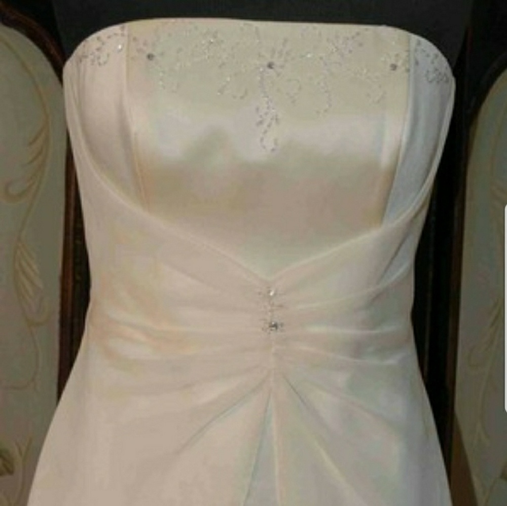 Private Collection Wedding Dress⬇️PRICE DROP⬇️